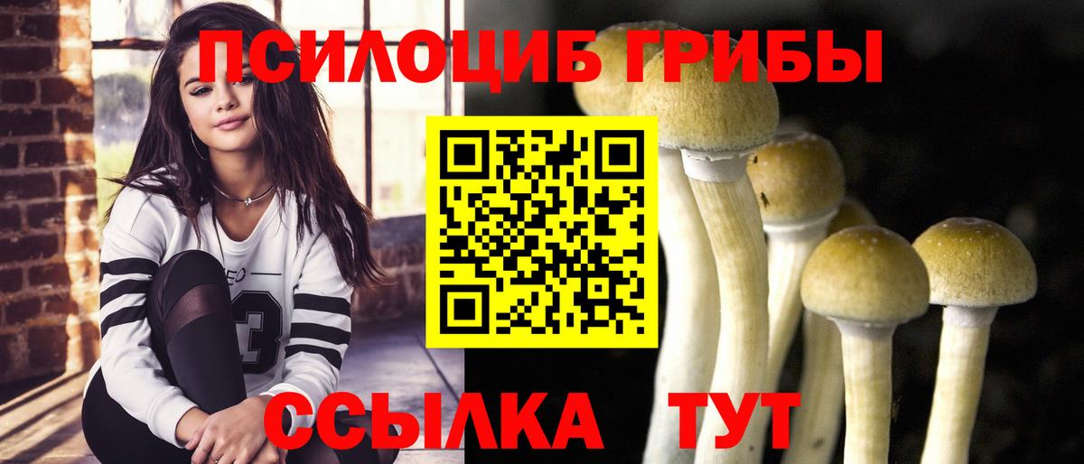 Псилоцибиновые грибы GOLDEN TEACHER Александров