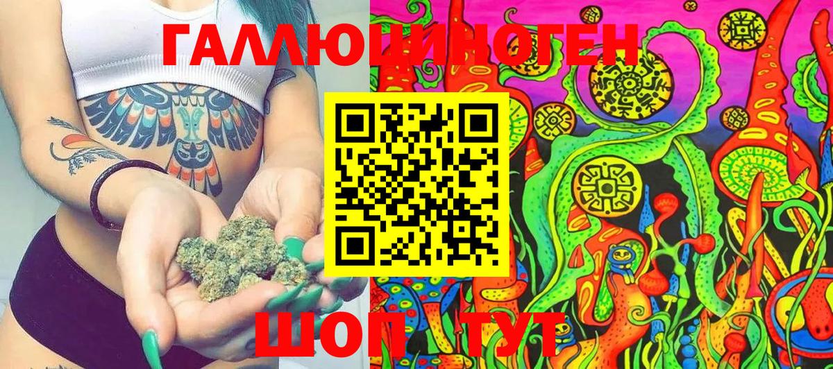 Александров  Псилоцибиновые грибы Cubensis  Галлюциногенные грибы Cubensis  купить наркоту  Вход с VPN 